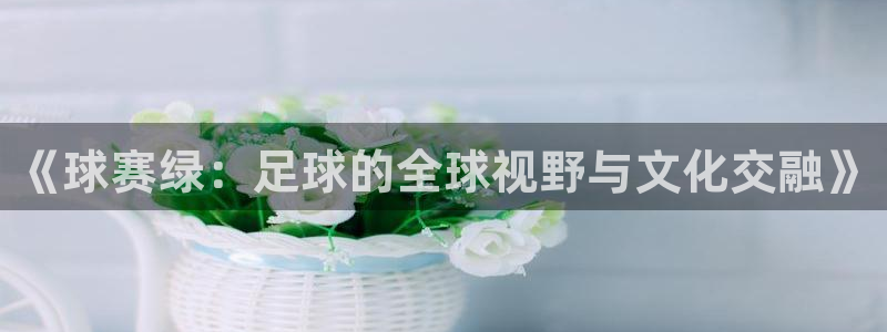 《球赛绿：足球的全球视野与文化交融》