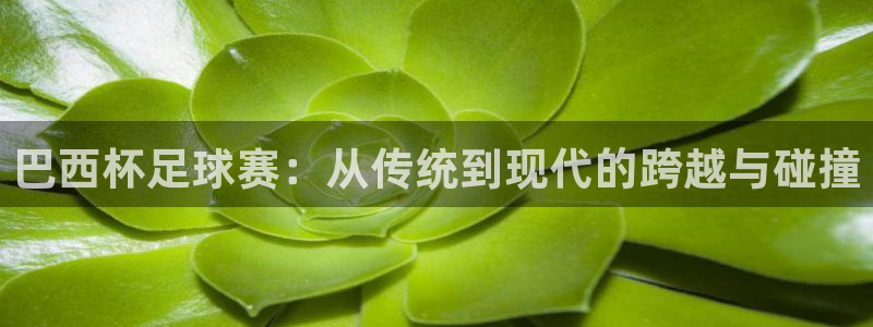 巴西杯足球赛：从传统到现代的跨越与碰撞