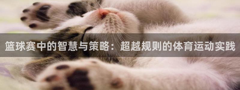 篮球赛中的智慧与策略：超越规则的体育运动实践