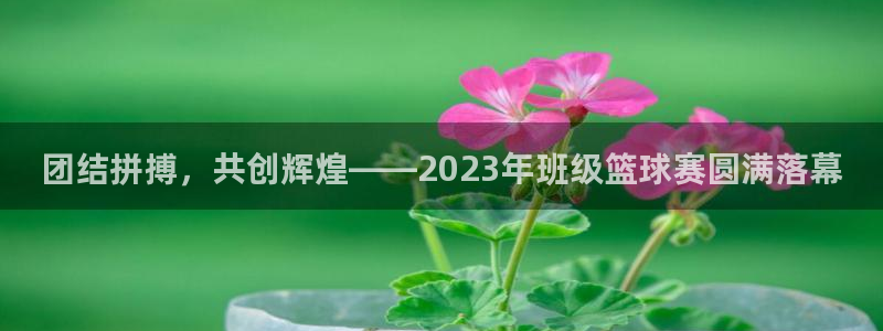 球王会体育登录入口：团结拼搏，共创辉煌——2023年班级篮球
