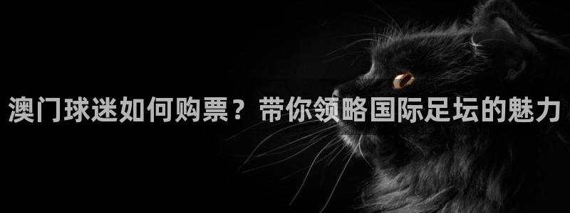 球王会体育官方网：澳门球迷如何购票？带你领略国际足坛的魅力