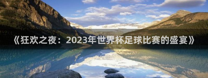 球王会体育下载安装：《狂欢之夜：2023年世界杯足球比赛的盛