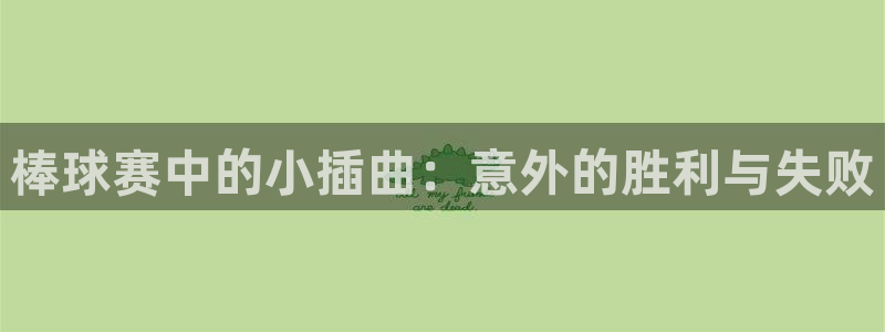 球王会体育下载：棒球赛中的小插曲：意外的胜利与失败