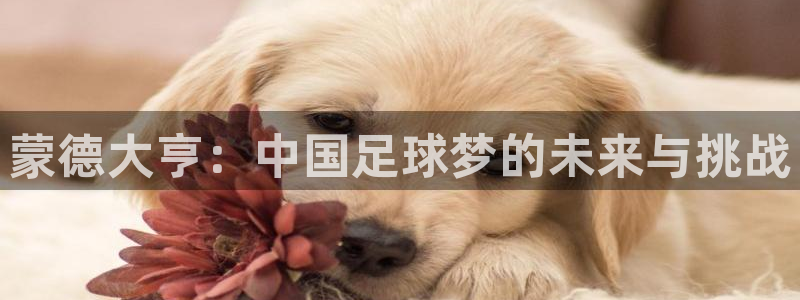 球王会体育平台网页：蒙德大亨：中国足球梦的未来与挑战