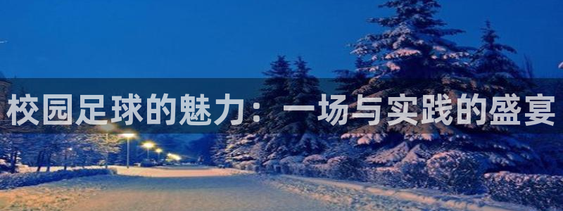 球王会体育权威备：校园足球的魅力：一场与实践的盛宴